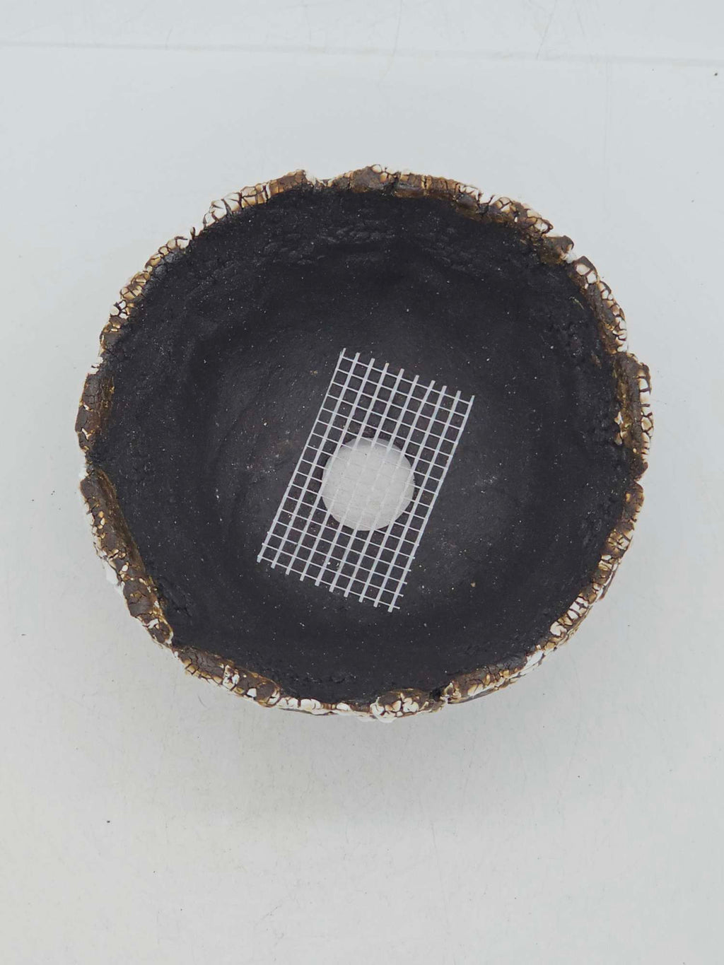 Cooked Earth