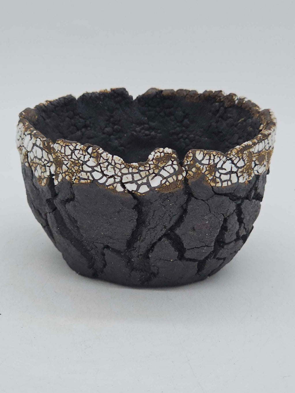 Cooked Earth