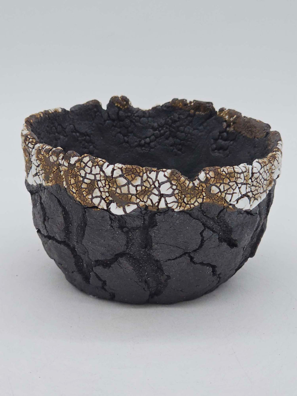 Cooked Earth