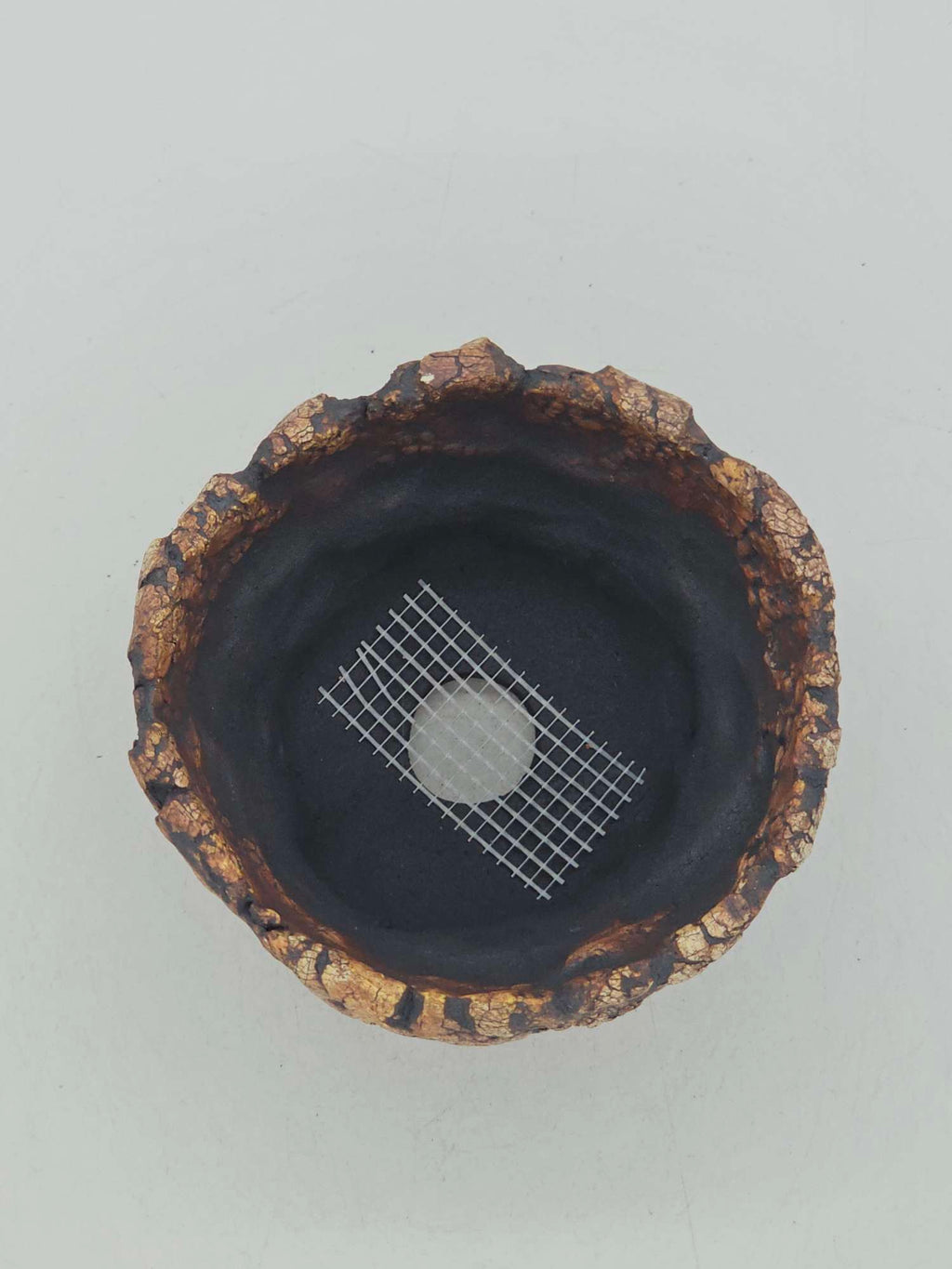 Cooked Earth