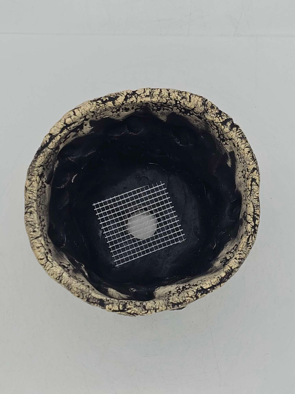 Cooked Earth