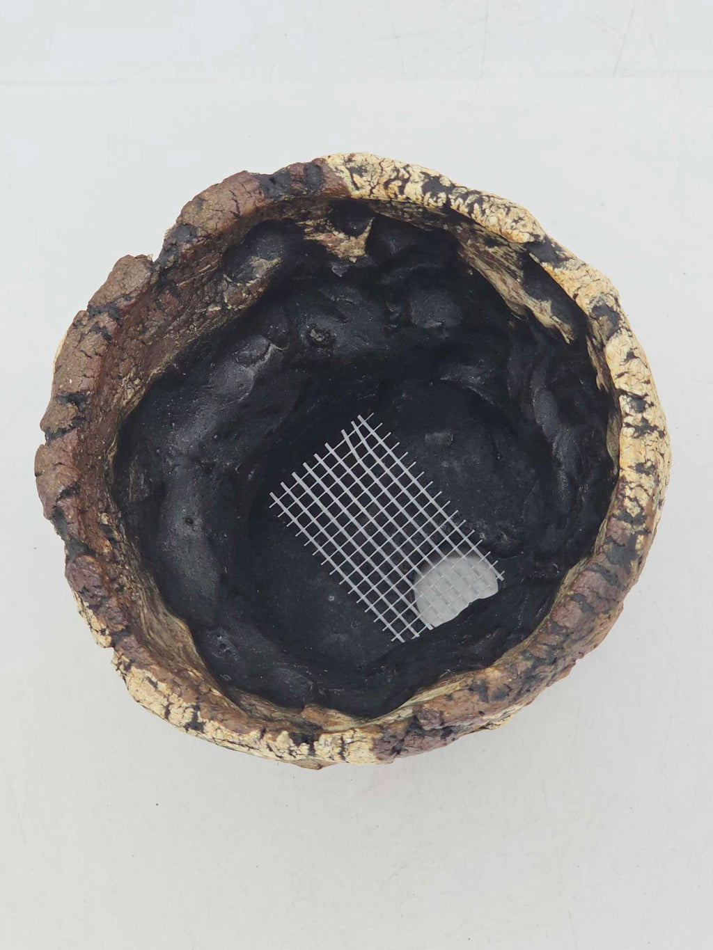 Cooked Earth