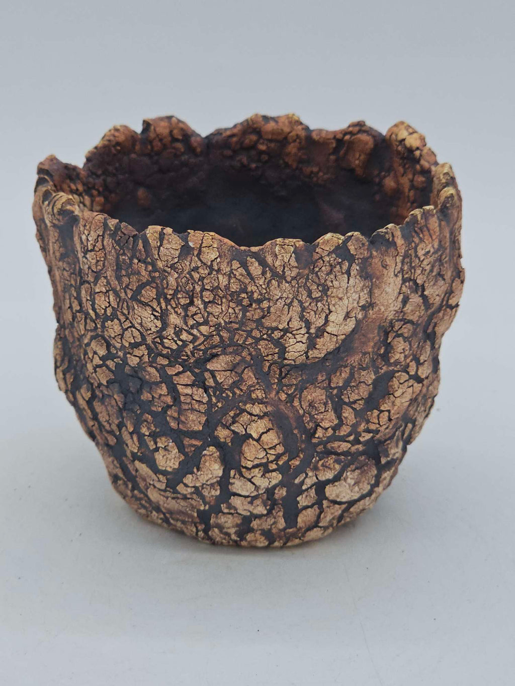 Cooked Earth