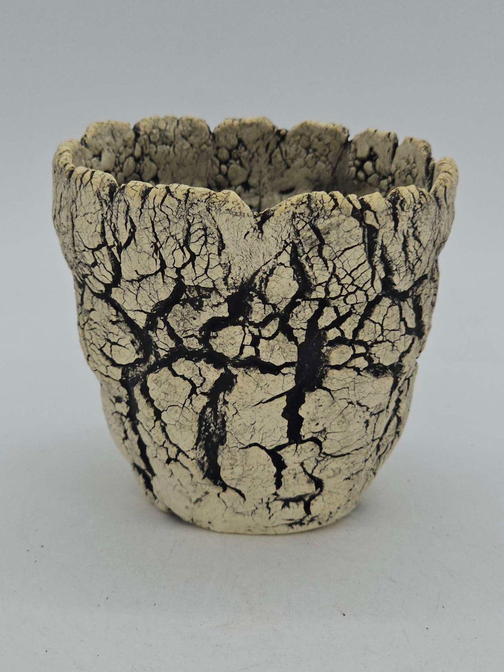 Cooked Earth