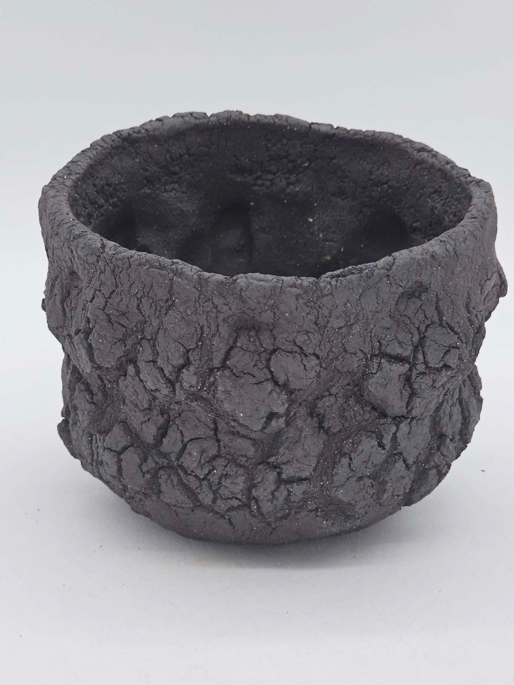 Cooked Earth