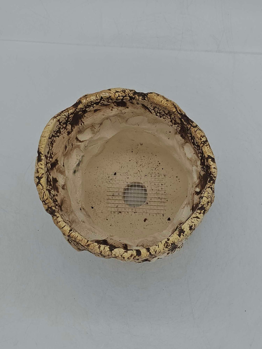 Cooked Earth