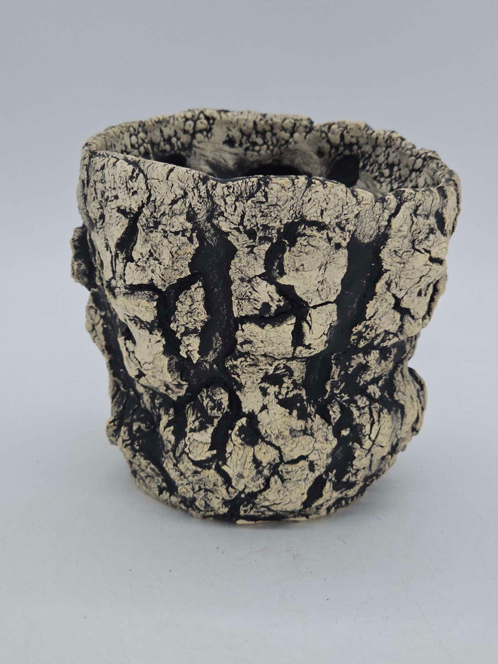 Cooked Earth