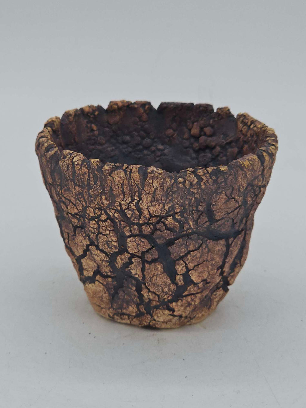Cooked Earth