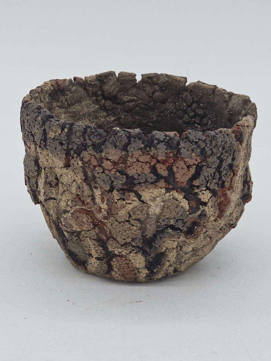 Cooked Earth
