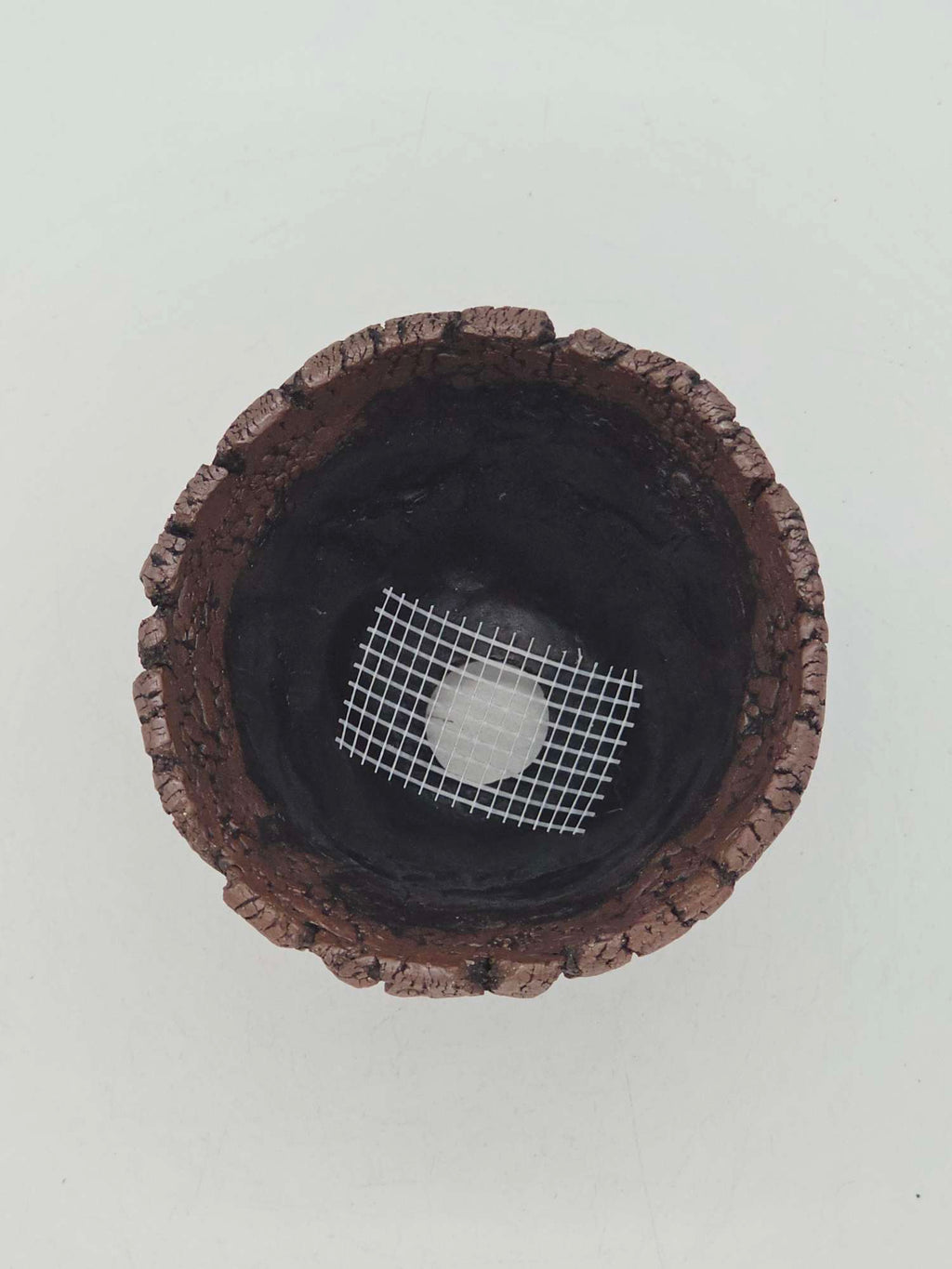 Cooked Earth