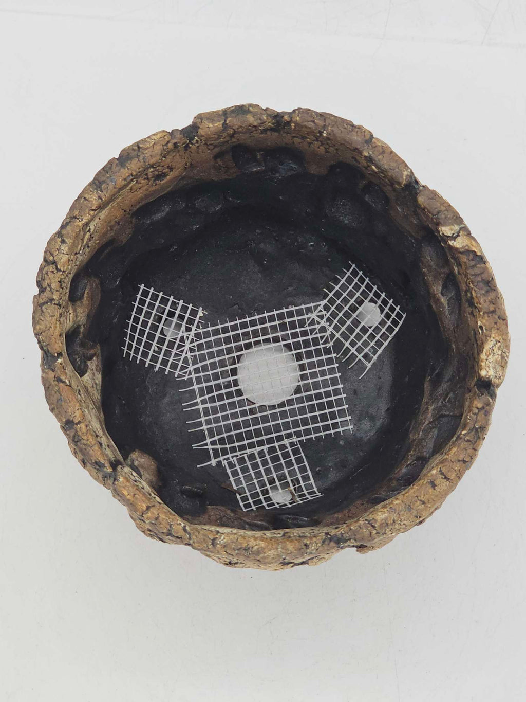 Cooked Earth