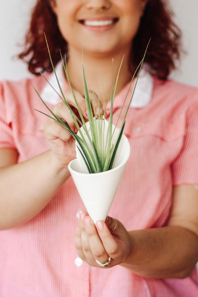 Medium Ceramic Wall Planter