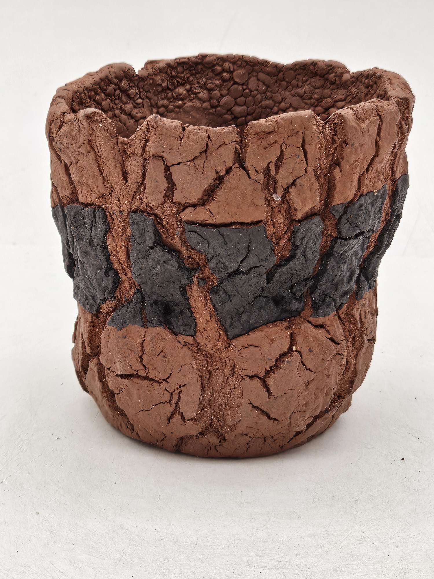 Cooked Earth