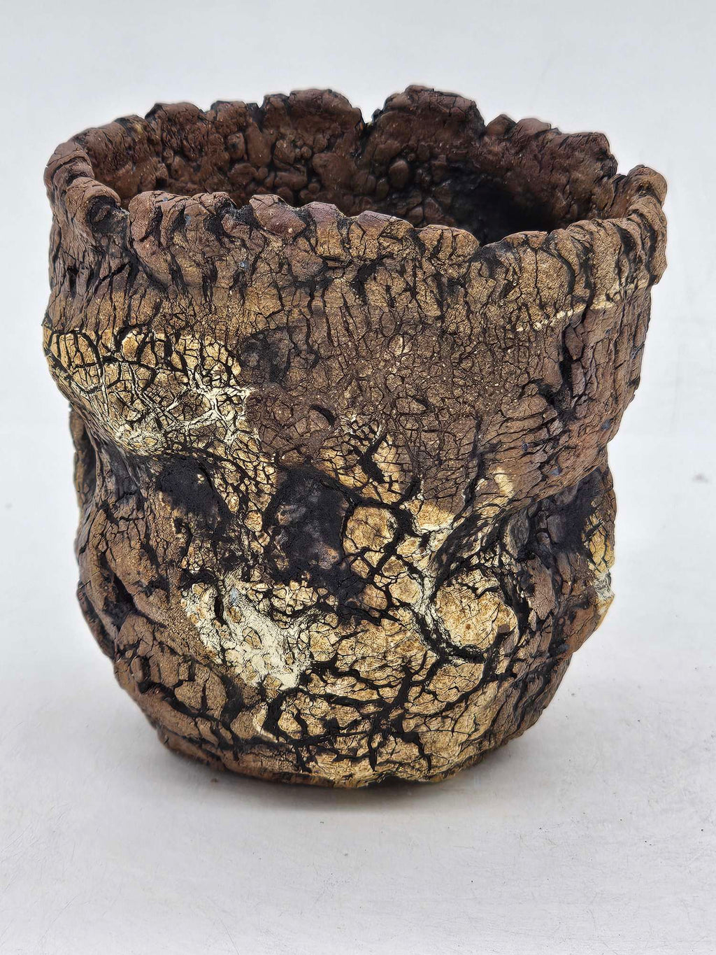 Cooked Earth