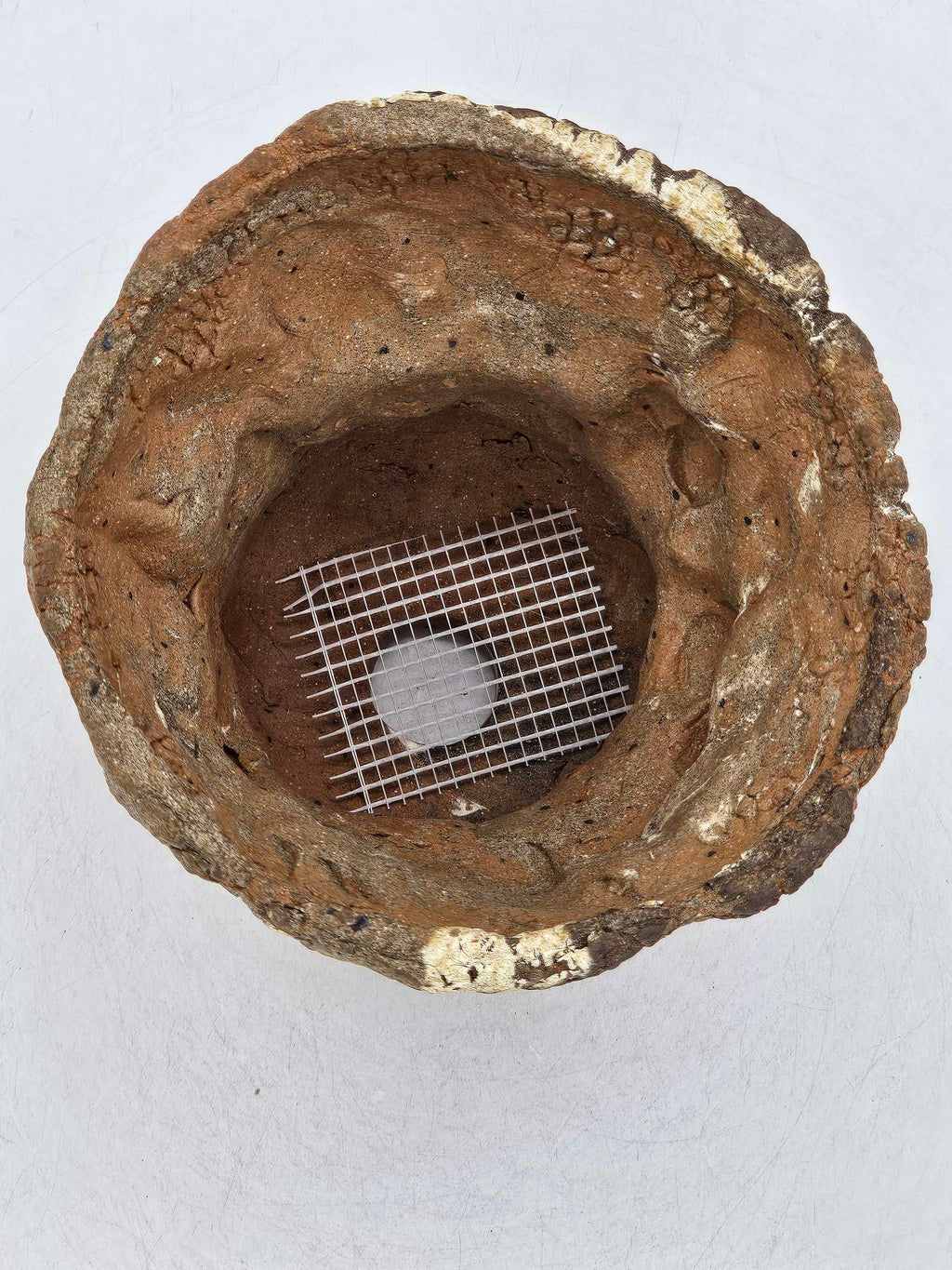 Cooked Earth