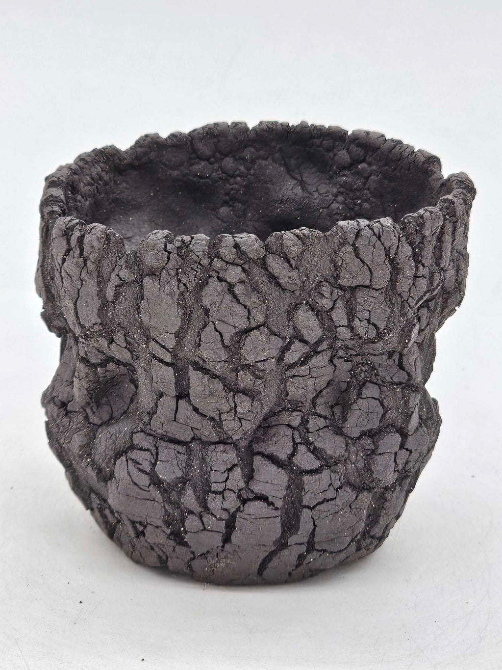 Cooked Earth