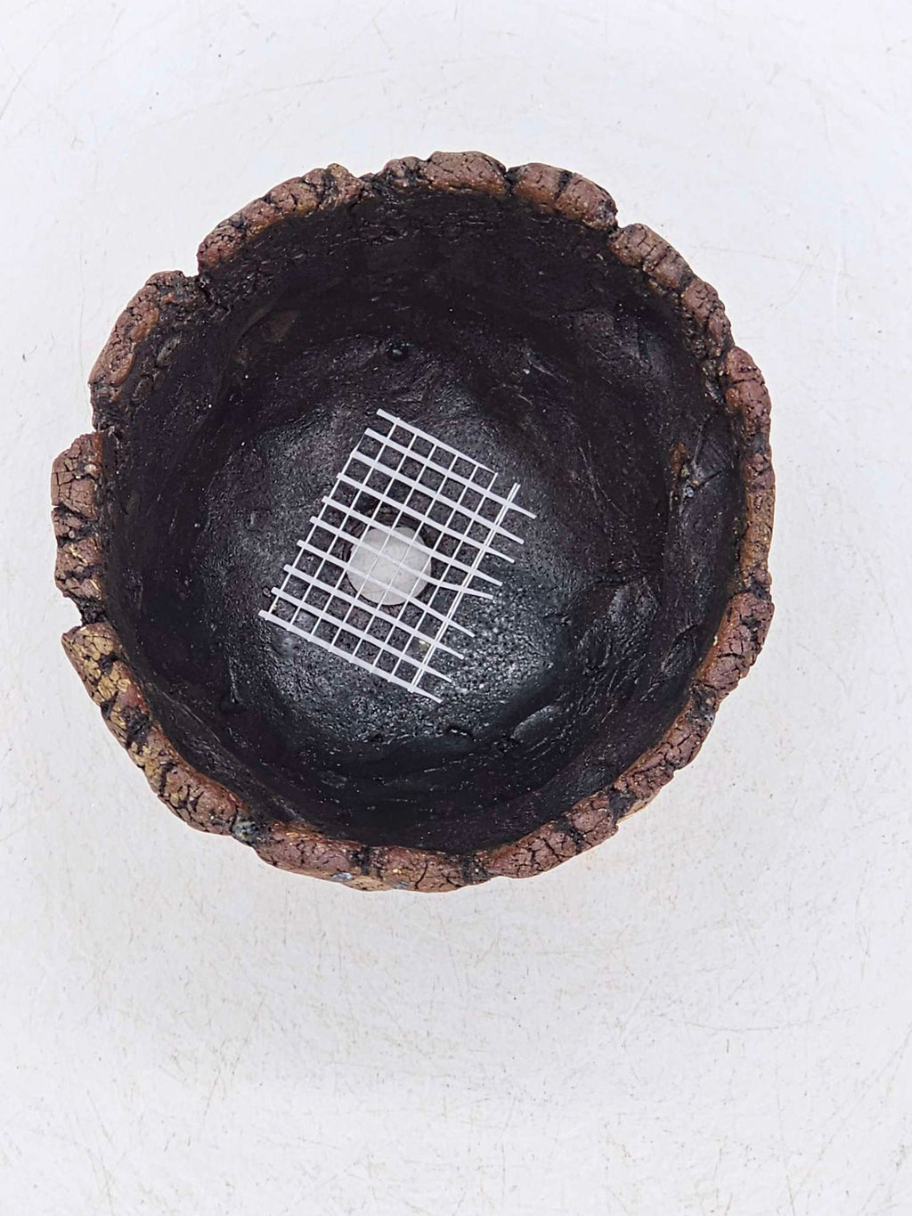 Cooked Earth