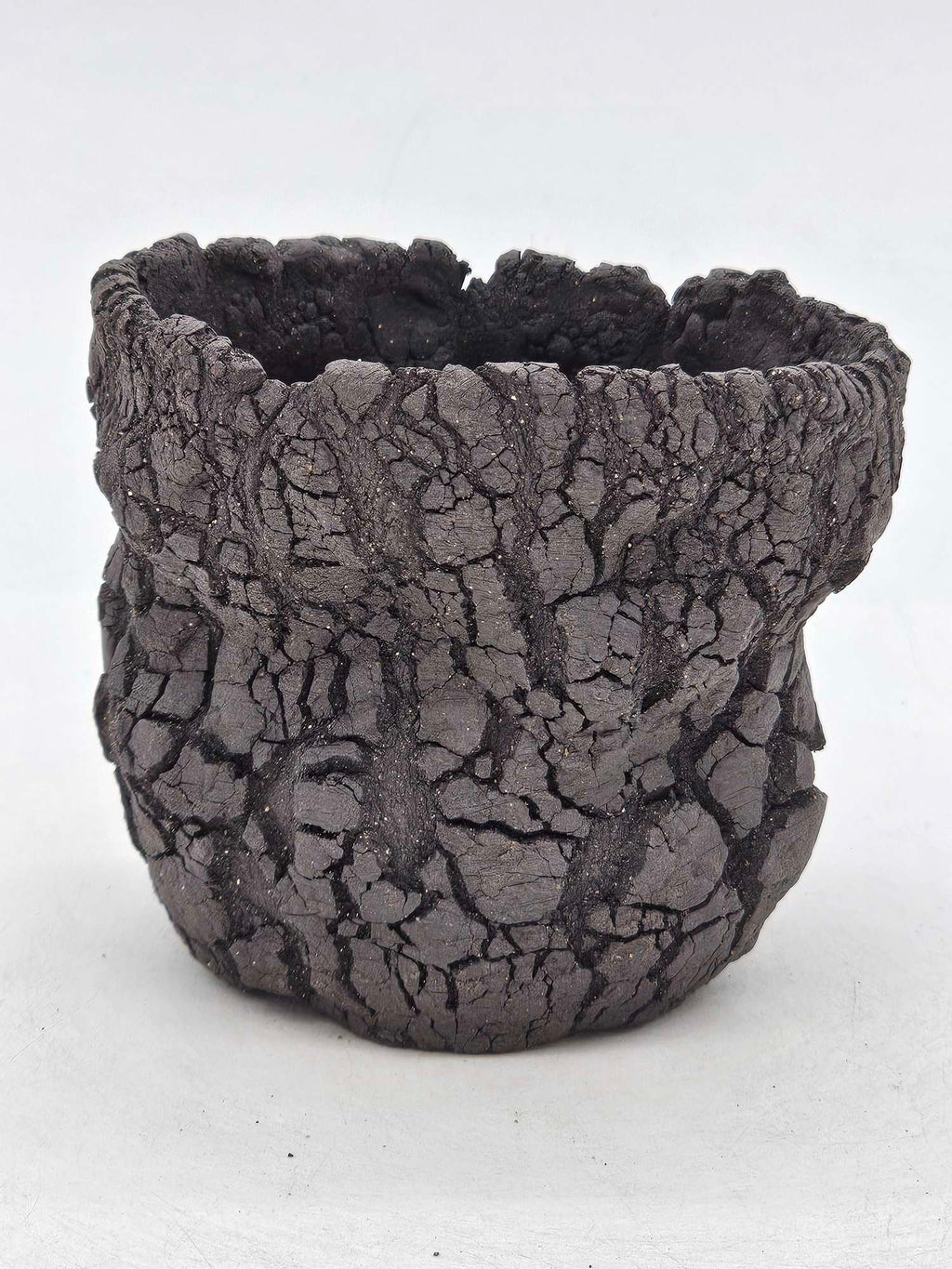 Cooked Earth