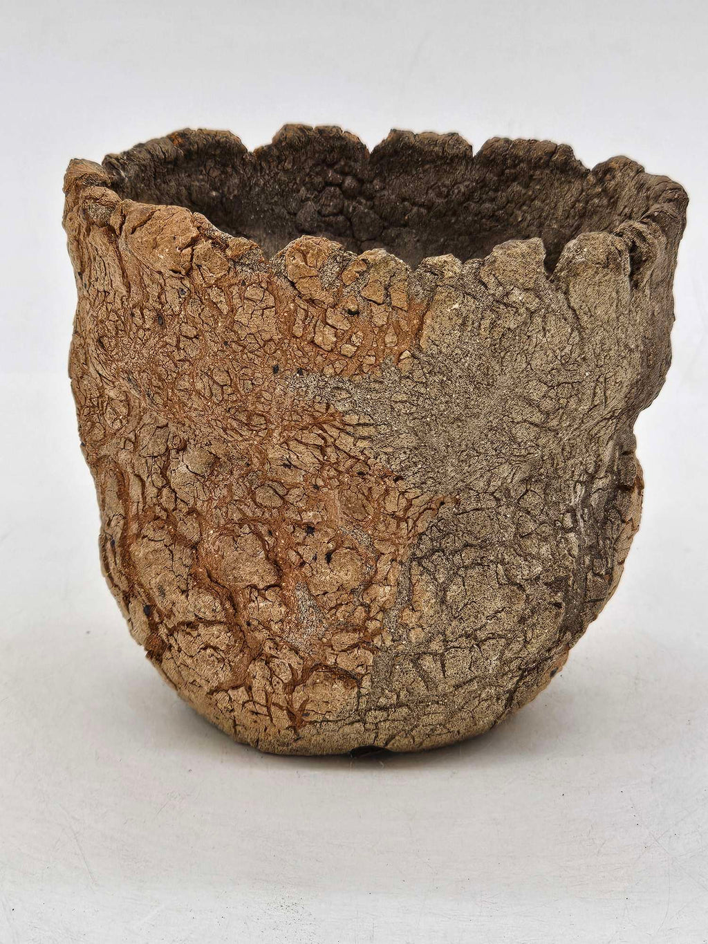 Cooked Earth