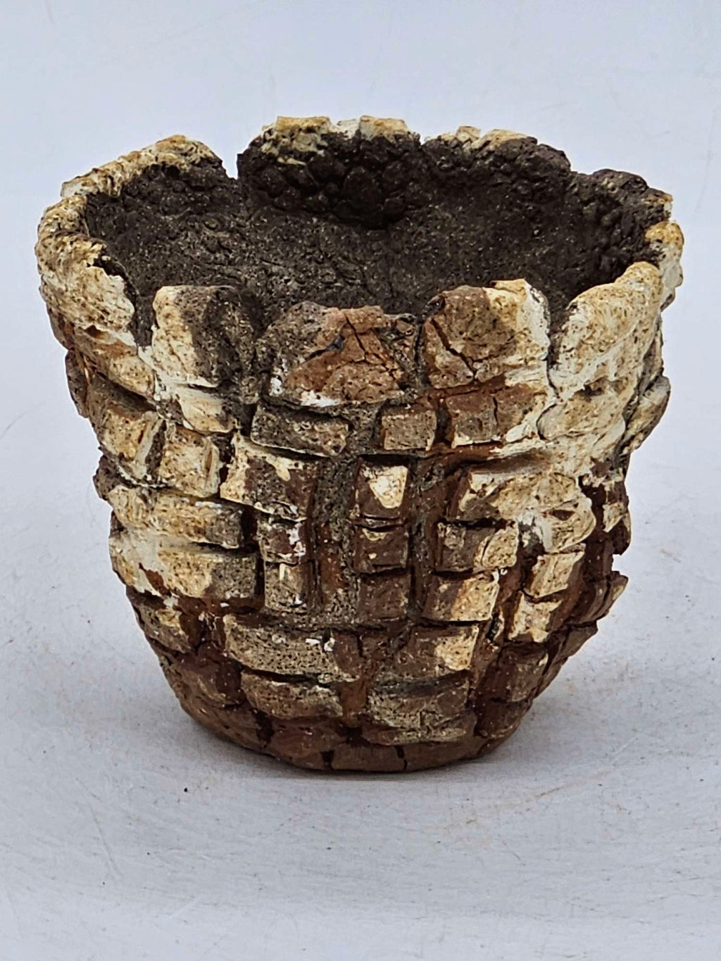 Cooked Earth
