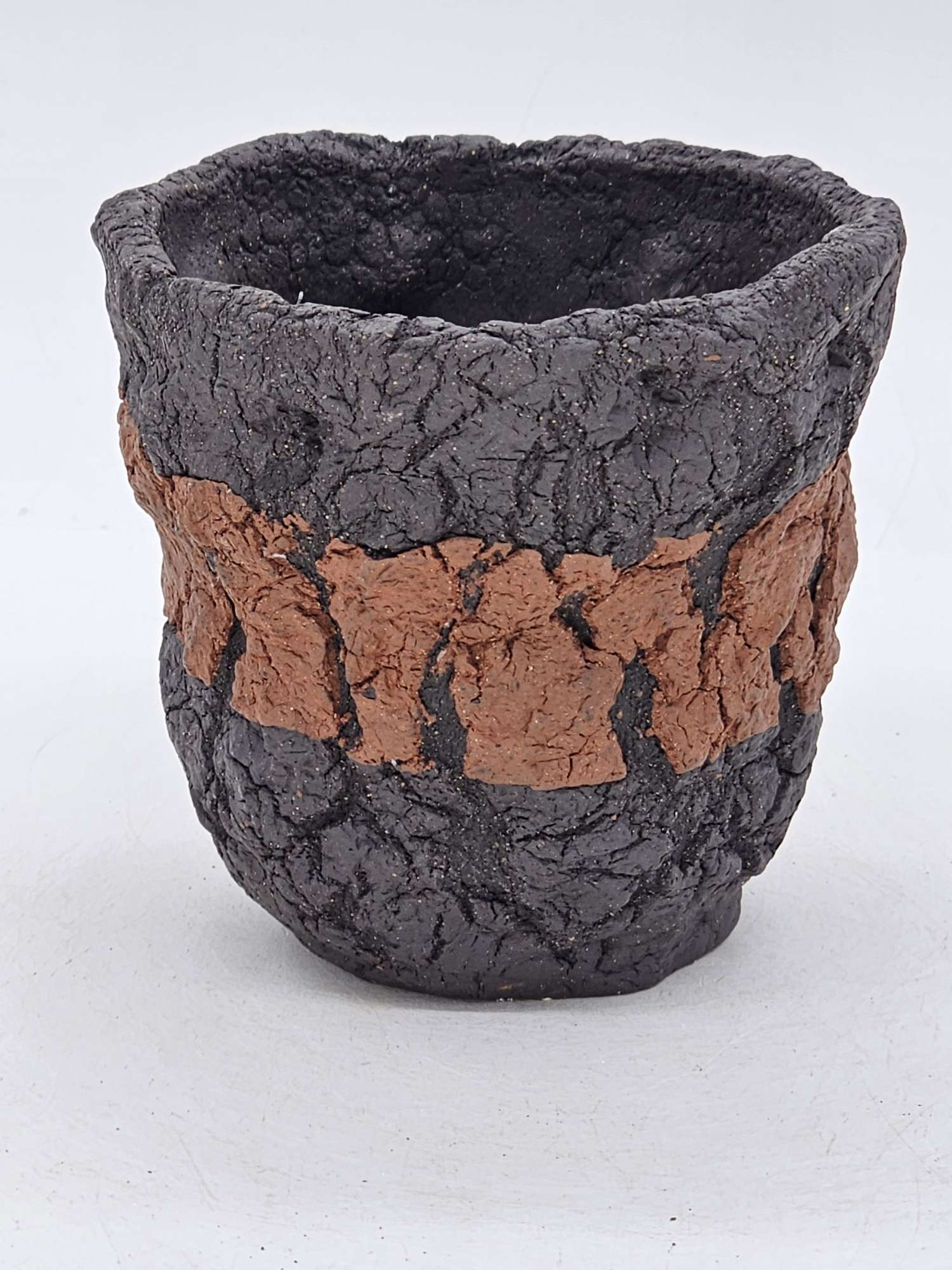 Cooked Earth