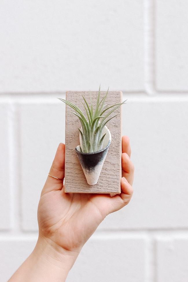 Tiny Ceramic Wall Planter