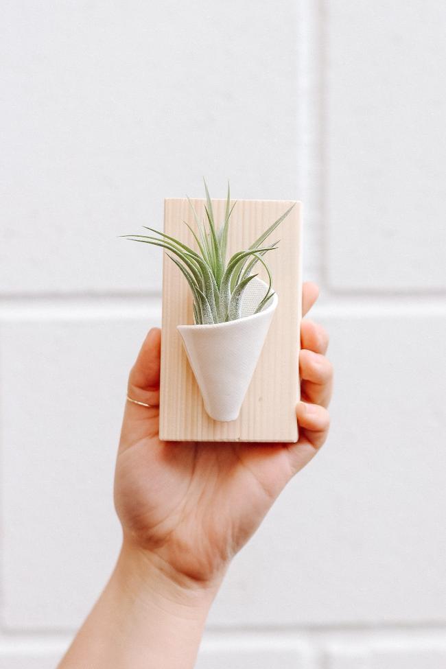 Tiny Ceramic Wall Planter