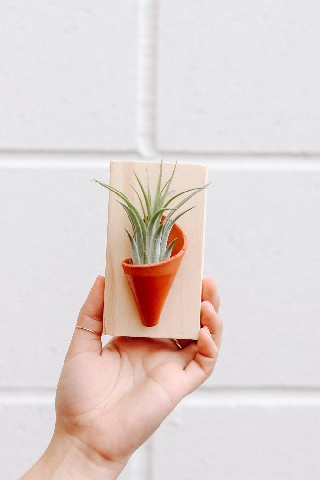 Tiny Ceramic Wall Planter